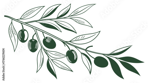 Elegant Olive Branch Illustration in Dark Green for Mediterranean Cuisine and Beauty Products Design Elements