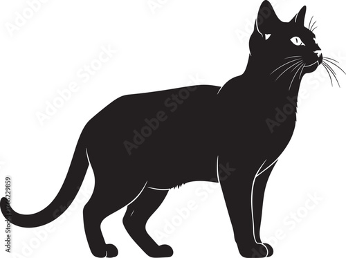 Striking black cat silhouette standing alert poised elegant feline profile elegant pet companion animal domesticated companion animal graceful