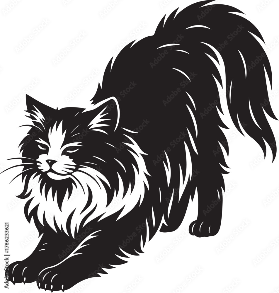 Obraz premium ragdoll_cat_stretching_detailed_bw.eps