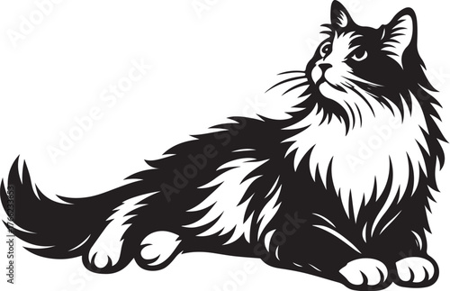 ragdoll_cat_lying_stretched_detailed_bw.eps