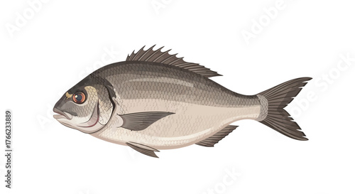 Detailed Illustration of a Fish in Profile Ideal for Aquatic and Seafood-Related Designs