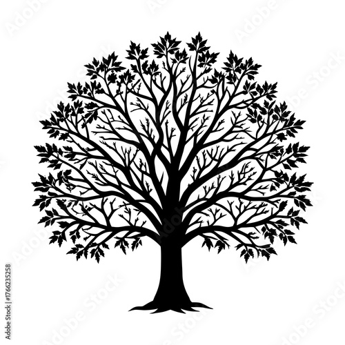 Detailed leafless maple tree silhouette with bushy canopy and intricate branches vector illustration