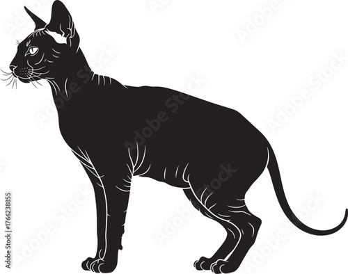 Elegant black siamese cat silhouette standing gracefully side profile detailed outline feline pet animal domestic animal artistic representation