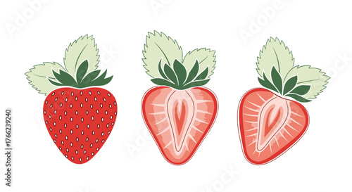 Illustration of a whole strawberry and two halves, a cut-through view of the inner detail, set against a stark white background.