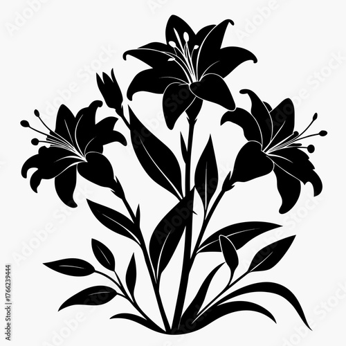 Fotografie hemerocallis bloemen silhouette on white background
