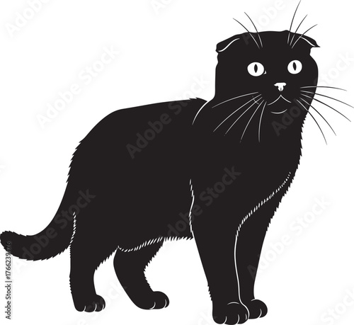 Charming black scottish fold cat silhouette standing alert with wide eyes and distinctive folded ears a graceful feline form