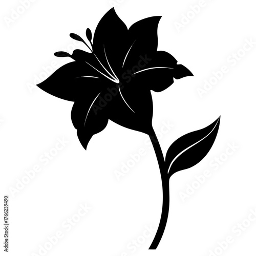 hemerocallis frans hals flower silhouette vector on white