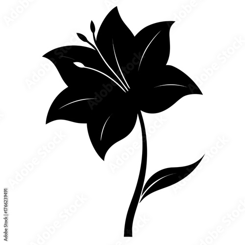 hemerocallis frans hals silhouette on white bacground