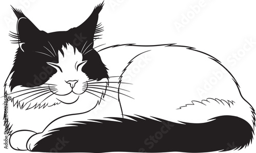 Detailed silhouette of a relaxed maine coon cat with fluffy tail resting comfortably artistic line art rendering