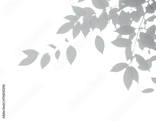 Pale, stylized foliage cascades down from the upper right, contrasting against a stark black background