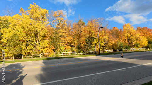 Photography Suburban neighborhood street in fall