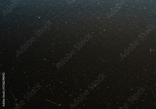 Still surface of dark, tannic marsh water reflecting the overlying wetland environment. Close view emphasizing murky texture and natural aquatic ecosystem ,nature ,dense ,liquid