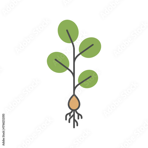 Seedling growing plant root sprout nature organic seedling growth new life fresh green leaf bud stem vector