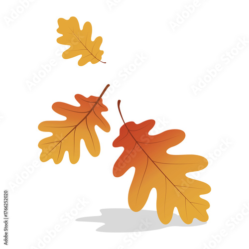 Autumn Leaves Falling Isolated Illustration on White Background Decorative Oak Foliage Design Seasonal Graphics for Fall