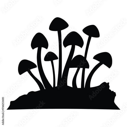 Silhouette of a cluster of wild mushrooms growing on a dark earthy surface