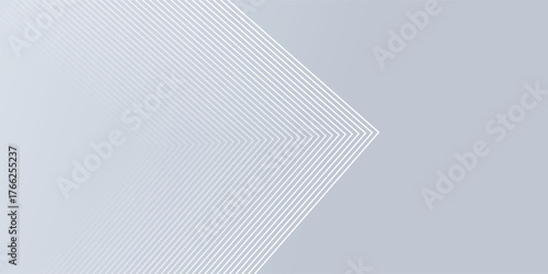 gray and white abstract background modern vector illustration