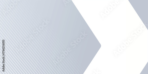 gray and white abstract background modern vector illustration