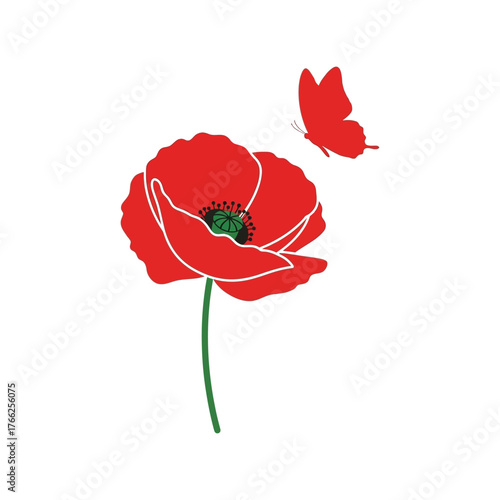 Vibrant red poppy with delicate butterfly blooming nature elegant insect summer garden artistic floral illustration simple design. vector