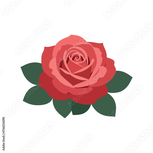 Vibrant coral rose bloom with green leaves isolated floral element for romantic occasions vector