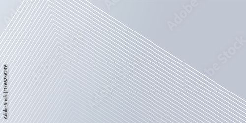 gray and white abstract background modern vector illustration