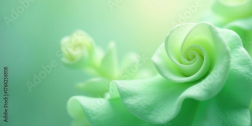 Soft Pastel Green Floral Arrangement Delicate Petals, Gentle Curves, and a Serene Atmosphere