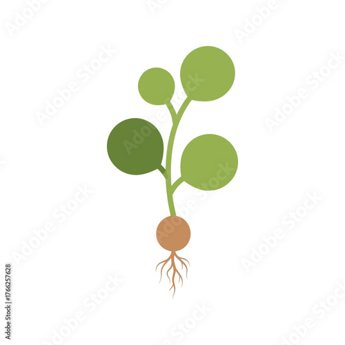 Healthy seedling growing with roots and leaves simple flat illustration isolated vector