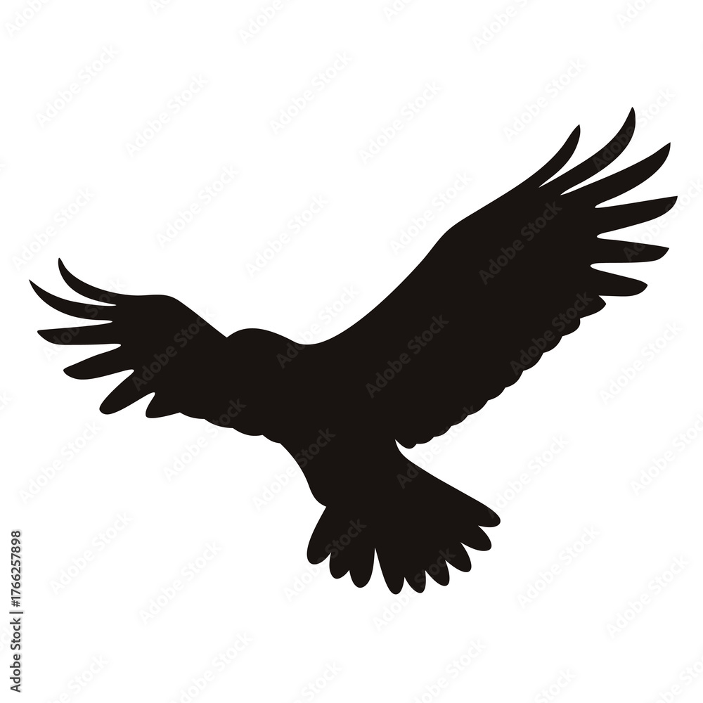 Obraz premium Silhouette of a bird in flight with wide wings isolated on white