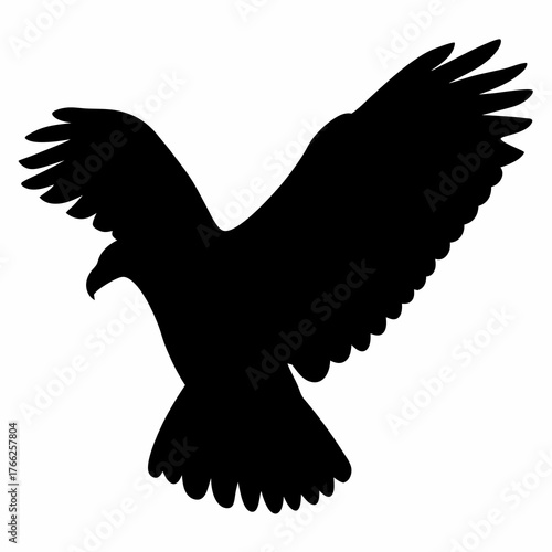 Silhouette of an eagle or similar bird of prey with spread wings