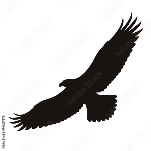 Silhouette of a Majestic Eagle in Flight with Wings Extended Gracefully