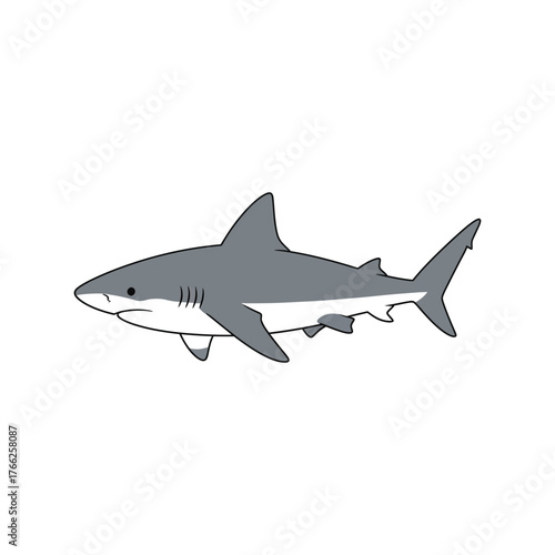 Majestic great white shark illustration oceanic predator marine life sea animal vector