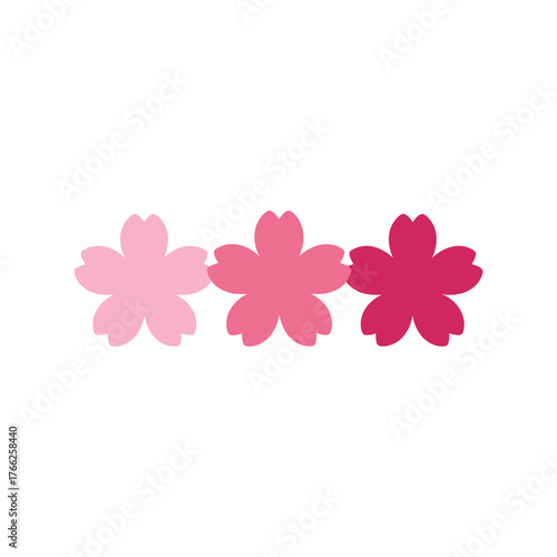 Three pink cherry blossom flowers delicate gradient design vector