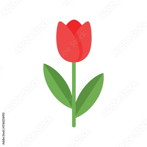 Vibrant red tulip flower isolated simple flat design botanical illustration spring symbol vector