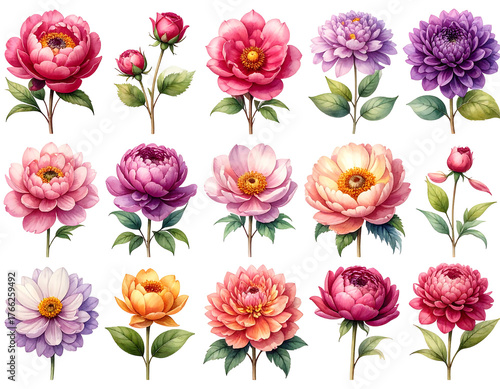 Wallpaper Mural Watercolor-style botanical illustrations of various colorful flowers on stems against a black background, rendered digitally Torontodigital.ca