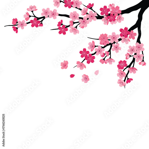 Vibrant pink cherry blossom branch delicate spring floral element isolated on white vector