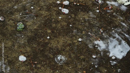 Close-up of raindrops dripping in a puddle on dirty pavement