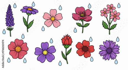 Colorful flowers with raindrops for springtime designs