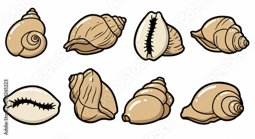 Seashells collection with transparent background