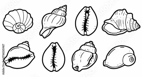 Seashells collection outline style with transparent background