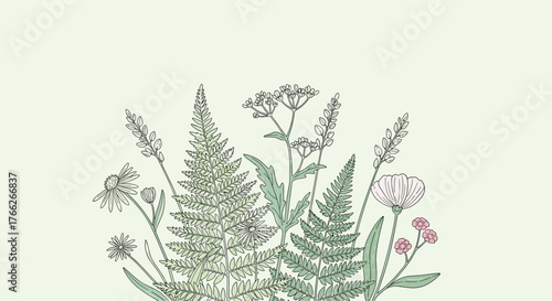 Botanical illustration showcasing an assortment of wildflowers, delicate ferns, and green foliage against a serene pale green backdrop.