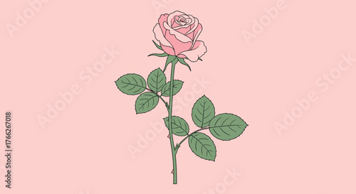 A delightful pink rose with vibrant green leaves stands out against a soft pink background, creating a romantic and elegant aesthetic.