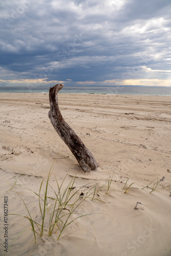 Moreton island Queensland Australia