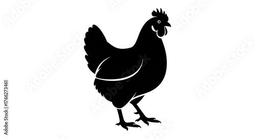 Black silhouette of a standing chicken on a white background