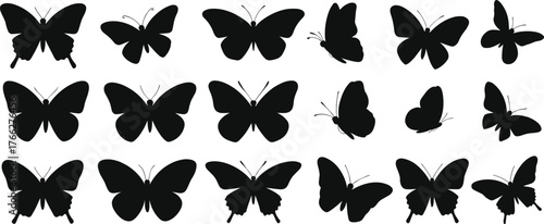 Butterfly silhouettes collection, insect vector set, black flying butterflies, nature design, decorative shapes, graphic art, wildlife pattern, natural beauty illustration