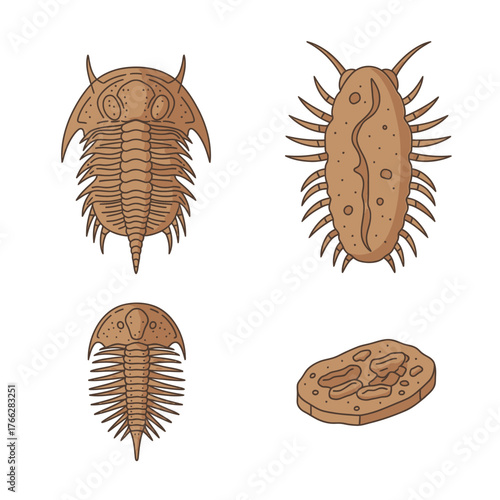 Ancient marine arthropod fossils including various trilobite species.