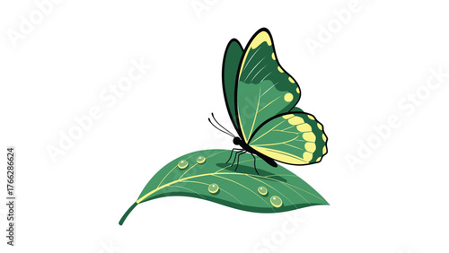 Flat vector of a butterfly landing on a single dew-covered leaf ,minimal emerald green and pale yellow on pure white background.
