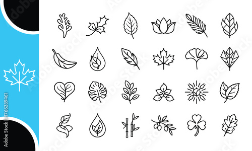 Collection of hand drawn botanical illustrations featuring various leaf shapes and flower buds in a sketchy artistic style on a white background