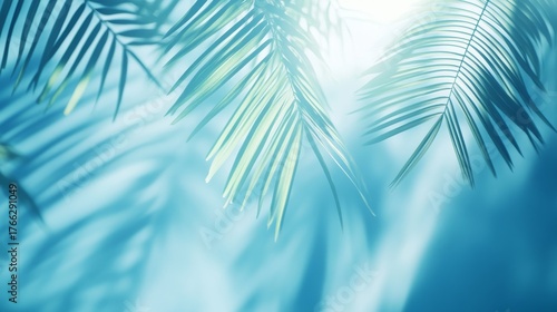 abstract composition of faint palm frond silhouettes dancing across cool blue backdrop gentle sunlight creating a dreamy and seasonal vibe perfect for branding