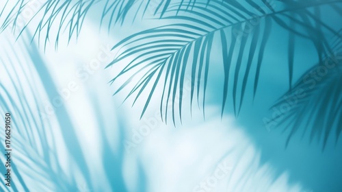abstract composition of faint palm frond silhouettes dancing across cool blue backdrop gentle sunlight creating a dreamy and seasonal vibe perfect for branding