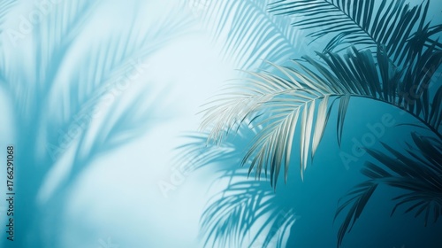 abstract composition of faint palm frond silhouettes dancing across cool blue backdrop gentle sunlight creating a dreamy and seasonal vibe perfect for branding
