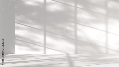 Overlay window and tree shadow effect on transparent background. high quality 3d render png format.	